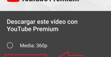 descargar vídeos de youtube sin programas