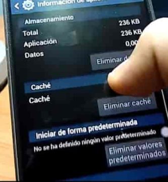cómo borrar caché