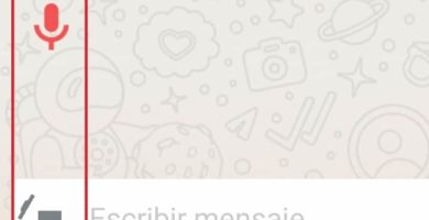 Cómo Eliminar Notas De Voz En Whatsapp