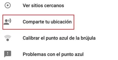 enviar ubicación por google maps