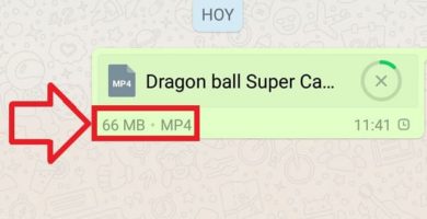 Enviar Archivos Grandes Por WhatsApp