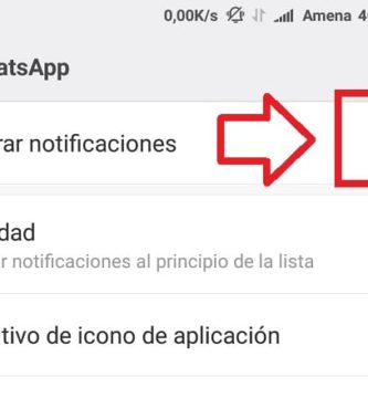 Notificaciones De WhatsApp