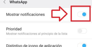 Notificaciones De WhatsApp