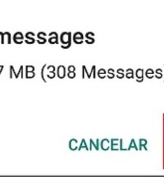 Liberar Espacio En WhatsApp