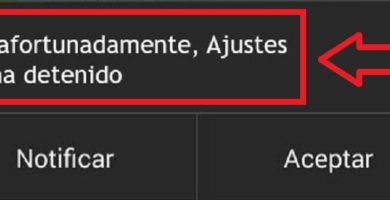 Desafortunadamente La Aplicación Se Ha Detenido