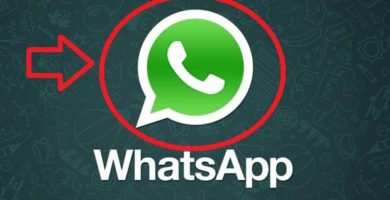 Imágenes Para Perfil De WhatsApp Para DESCARGAR