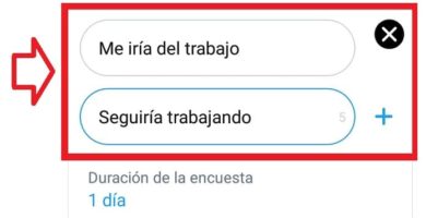 Cómo Hacer Encuestas De Twitter