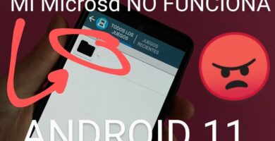 microsd no aparece android 11.