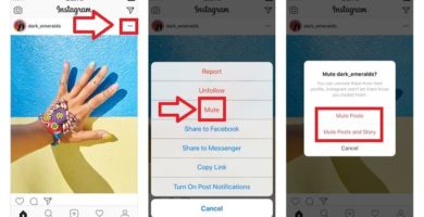 cómo silenciar una cuenta de instagram