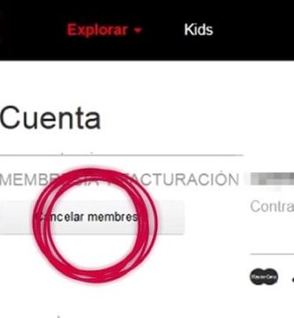 DAR DE BAJA Netflix