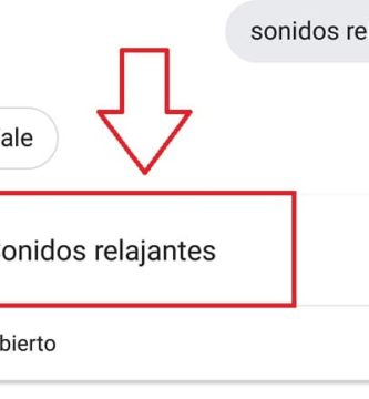 Cómo Usar El Asistente De Google Para Escuchar Sonidos RELAJANTES