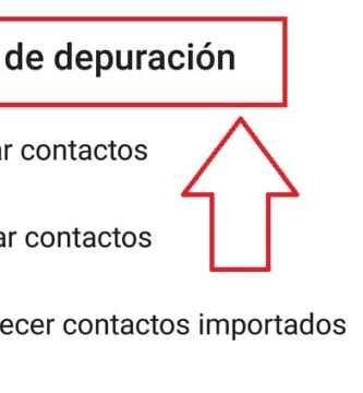 menú depuración de telegram