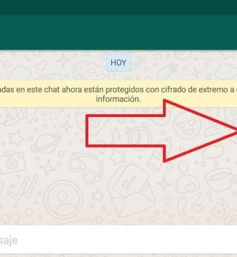 flamenca whatsapp