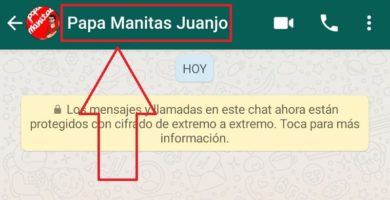 se puede descargar la foto de perfil de whatsapp