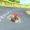 superminiturbo mario kart tour.