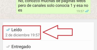 saber a que hora han leido un whatsapp para