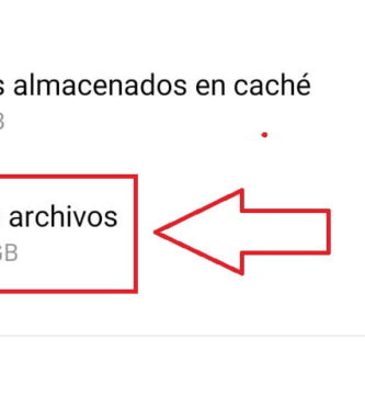 borrar otros archivos miui.