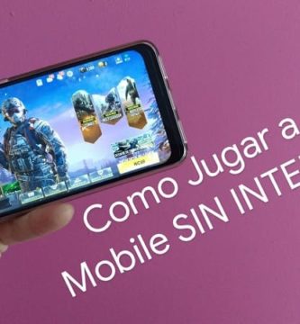 call of duty mobile sin internet