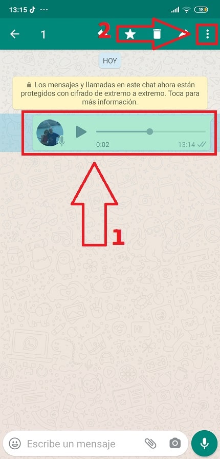 descargar mensajes de audio de whatsapp