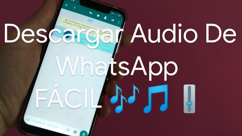 cómo descargar los archivos de audio de whatsapp