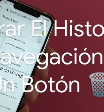 borrar historial de navegación desde inicio.