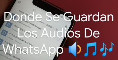 donde se guarda audio whatsapp android