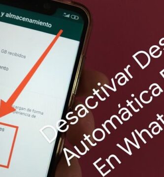 whatsapp descarga fotos automaticamente