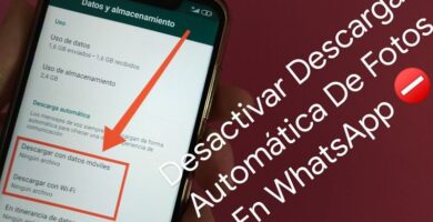 whatsapp descarga fotos automaticamente