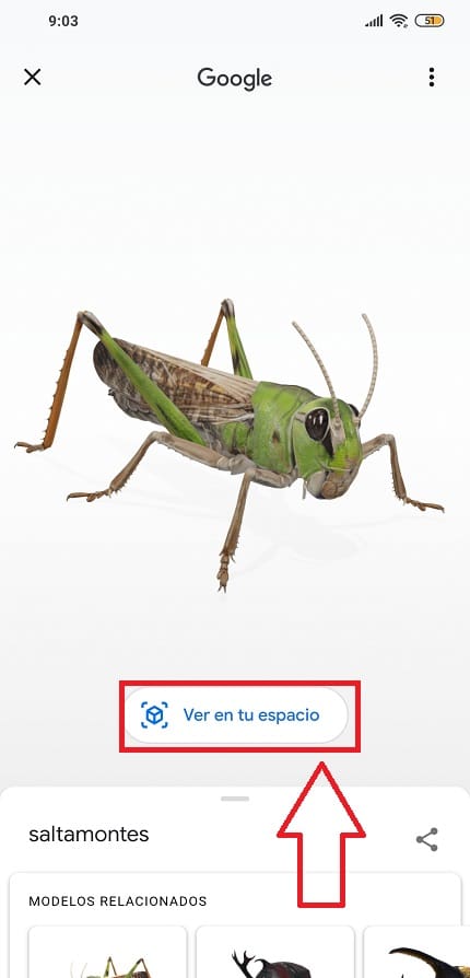 ver insectos 3d en google.