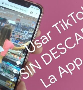usar tiktok sin la app.
