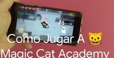 magic cat academy google.