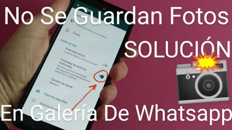 ≫ Porqué No Se Guardan Las Fotos De Whatsapp En Galería Solución 2024 2616