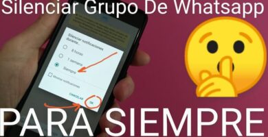 quitar notificaciones whatsapp para siempre.