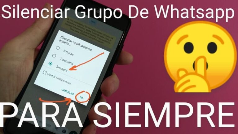 ≫ Como Silenciar Grupos De Whatsapp Para Siempre 2024 2504