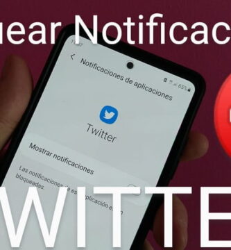 bloquear twitter notificaciones.