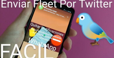 mandar un fleet por twitter.