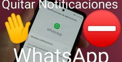 desactivar notificaciones whatsapp.