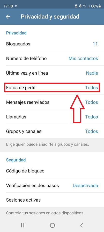 ocultar fotos perfil telegram.