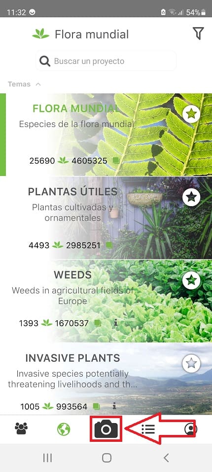 indentificador de plantas por foto