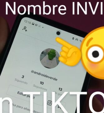 tiktok nick en blanco.