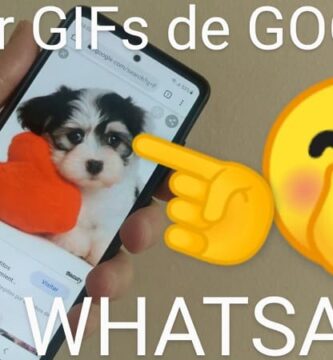 compartir gifs de google en whatsapp.