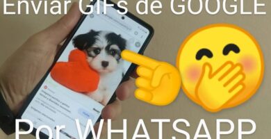 compartir gifs de google en whatsapp.