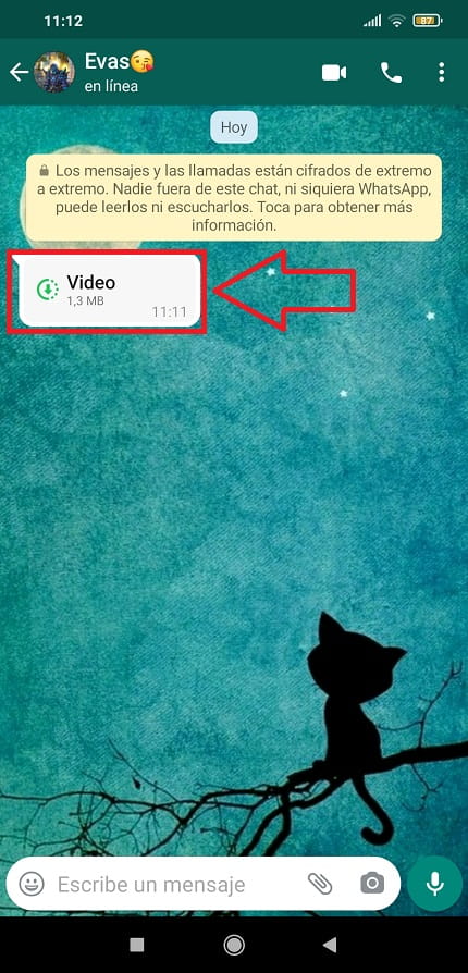 mandar vídeos de whatsapp que se borran solos.