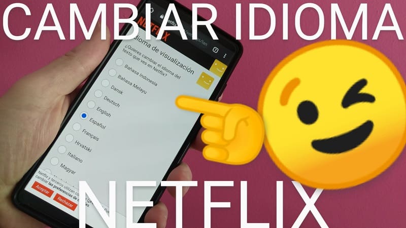 Modificar lengua en Netflix.