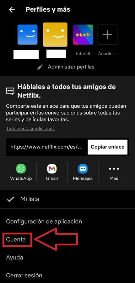 Cuenta de Netflix.