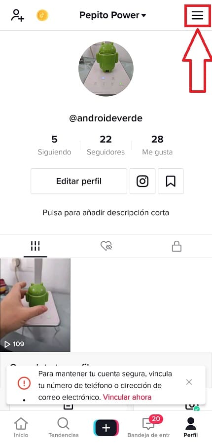 perfil tiktok.