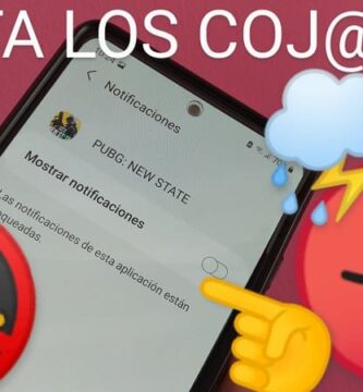 Eliminar avisos Pubg New State.