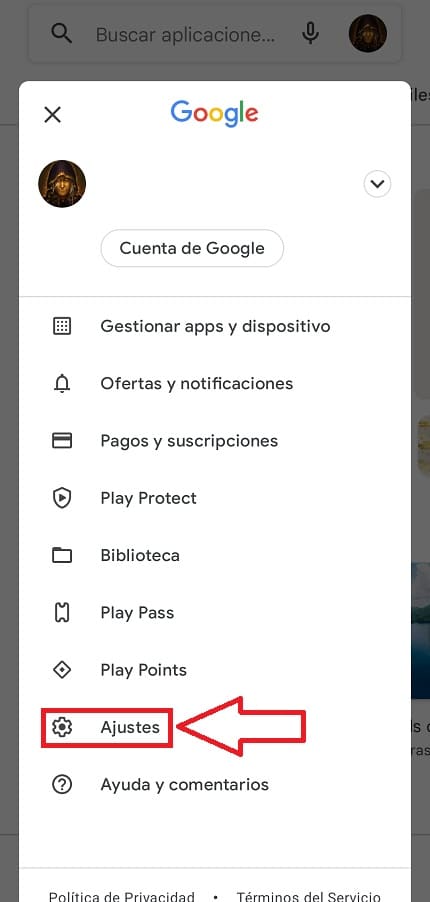 Configuración Google Play.