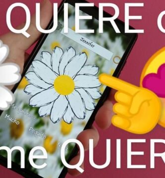 me quiere no me quiere test