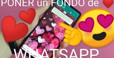 poner un corazón como fondo de whatsapp.